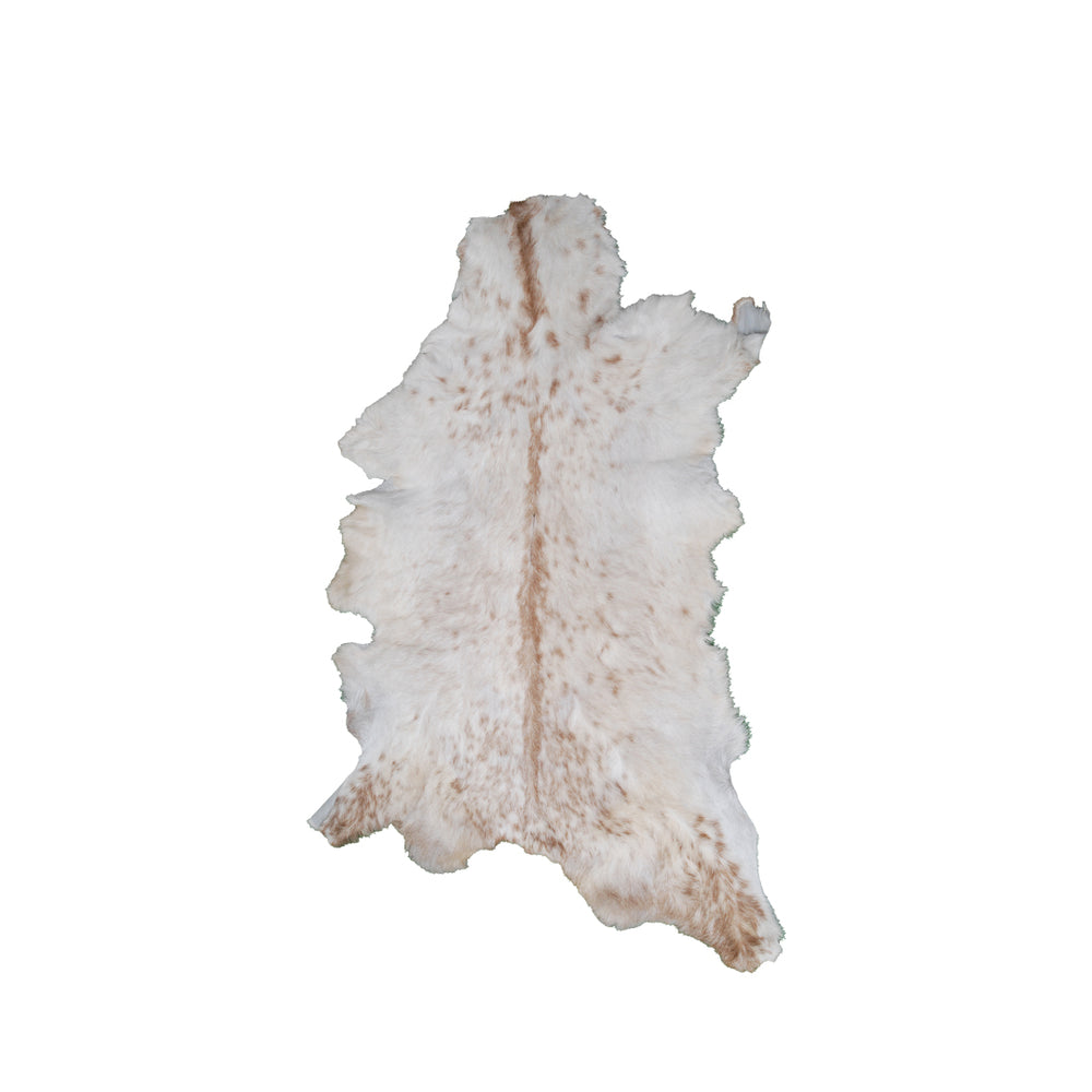 Luxurious Brown and White Genuine Goat Hide Rug - Premium Hair-on Skin Rug for Home Decor - Celestial Leather Limited