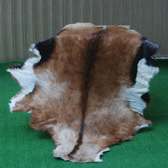 Goat Skin Rug: Tri-Color genuine Goat hide rug