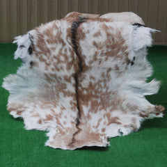 Premium Brown and White Goat Skin Rug - Genuine Hair-On Leather for Rustic Décor