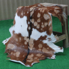 Goat Skin Rug: Tri-Color genuine Goat hide rug