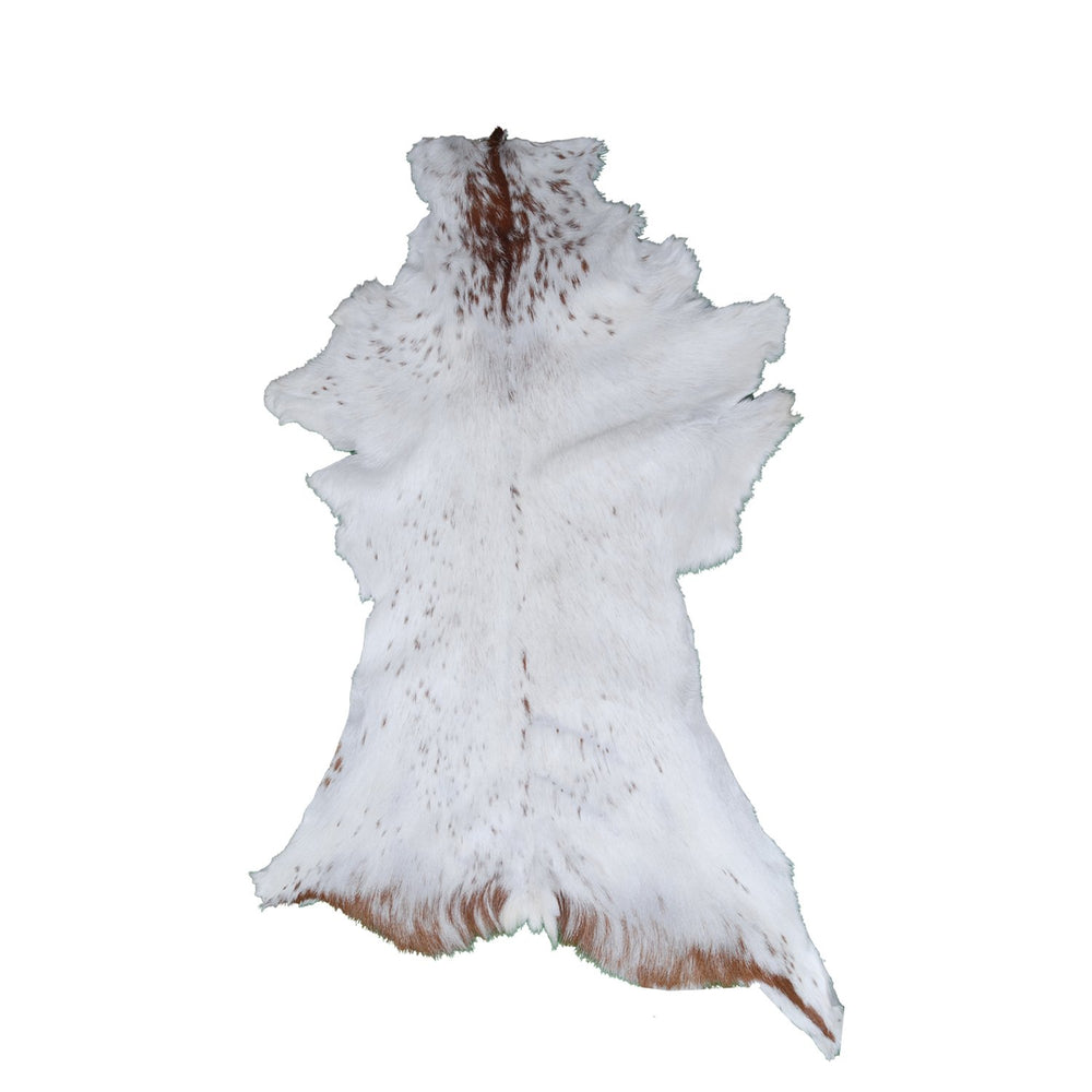 Luxurious Brown & White Goat Skin Rug | Handmade 100% Pure Goat Skin | Soft, Pet-Friendly, Non-Shedding | Eco-Friendly & Sustainable - Celestial Leather Limited