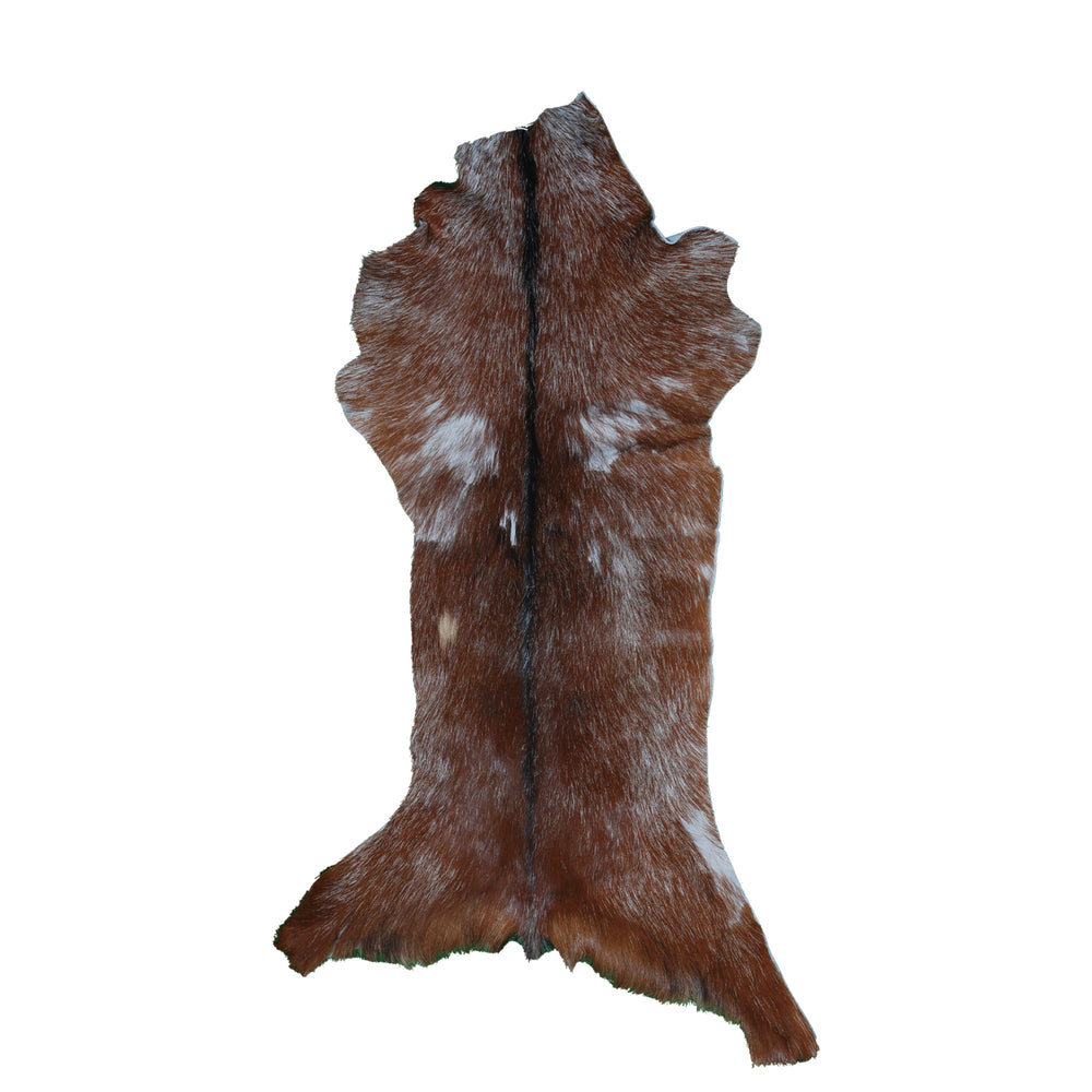 Luxury Brown & White Goat Hide Rug | Handcrafted Premium Goat Skin Rug | Eco-Friendly - Sustainable | Hypoallergenic - Non-Shedding - Celestial Leather Limited