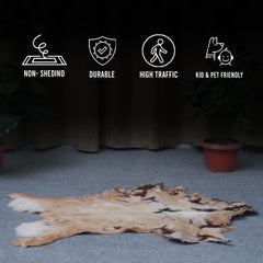 Goat Skin Rug: Tri-Color genuine Goat hide rug