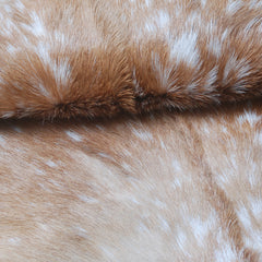 Natural Brown and White Goat Hide Rug - Luxurious Accent for Modern Homes