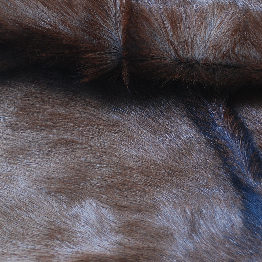 Luxury Brown and White Genuine Goat Hide Rug - Premium 100% Natural Hair-On Goat Skin Rug - Handcrafted and Sustainable Home Decor - Celestial Leather Limited