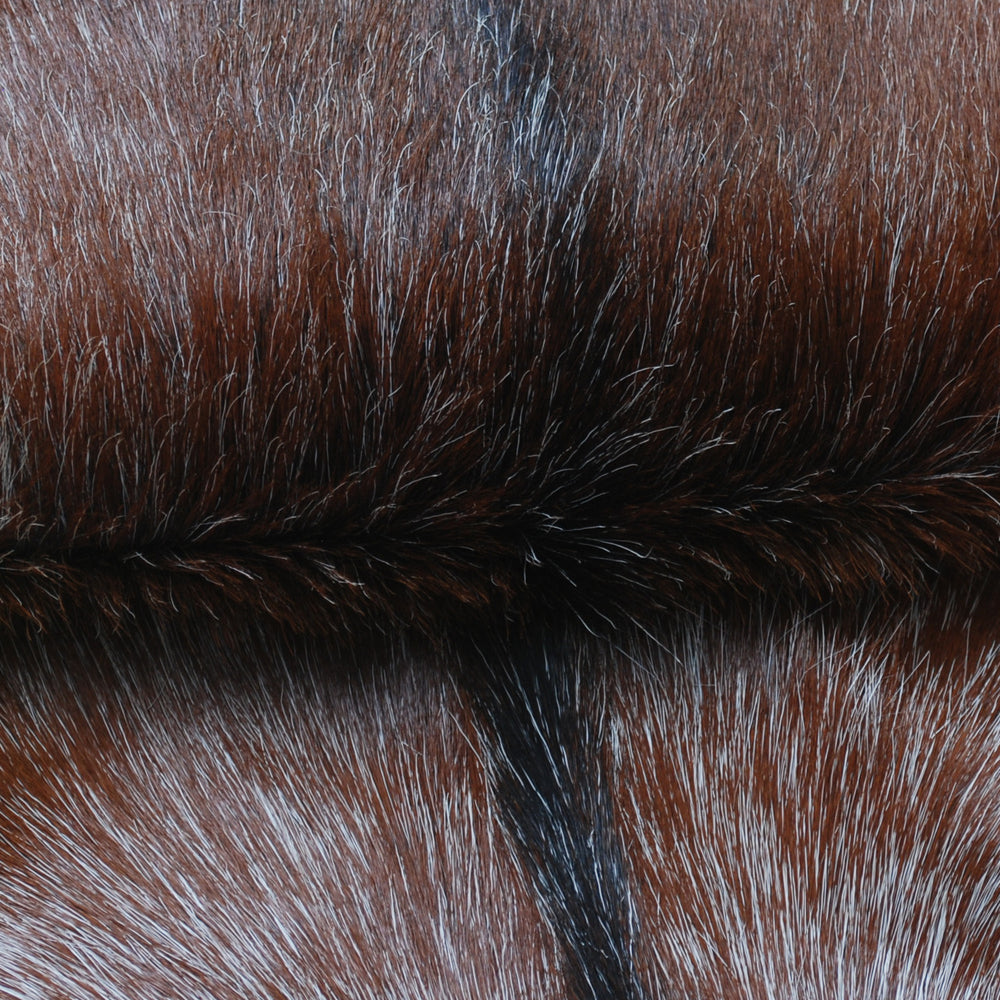 Luxury Brown & White Goat Hide Rug | Handcrafted Premium Goat Skin Rug | Eco-Friendly - Sustainable | Hypoallergenic - Non-Shedding - Celestial Leather Limited