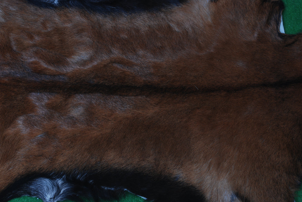 Luxurious Dark Brown Goat Skin Rug | Modern Sophistication - Celestial Leather Limited