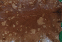 Authentic Hair-On Goat Skin Rug - Brown and White Pattern for Stylish Interiors