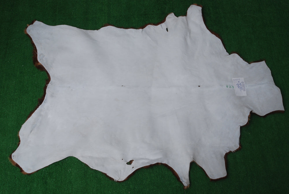 Luxurious Multicolor Goat Skin Rug - Handmade 100% Pure Goat Skin Floor Rug, Unique Colour Variations, Soft & Durable, Eco-Friendly - Celestial Leather Limited