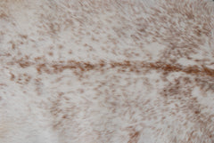 Rustic Brown and White Goat Skin Rug - Unique Pattern for Modern and Classic Décor