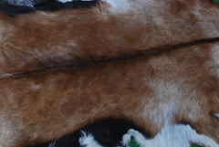 Goat Skin Rug: Tri-Color genuine Goat hide rug