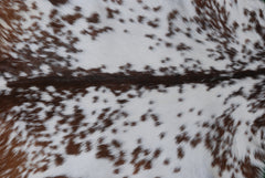 Premium Dark Brown Goat Skin Rug - Rustic Charm for Modern and Classic Interiors