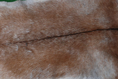 Luxurious Handpicked Brown & White Premium Goat Skin Rug - Eco-Friendly - Sustainable, Non-Slip Suede Back, Hypoallergenic - Timeless