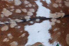 Goat Skin Rug: Tri-Color genuine Goat hide rug