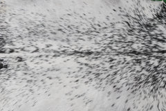 Stylish Black & White Goat Skin Rug - Modern Décor Floor Accent - Hypoallergenic - Eco-Friendly - Unique Statement Piece