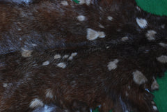 Natural Tri-Color Goat Hide Rug - Luxurious Accent for Rustic and Modern Spaces