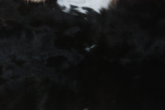 Luxurious Black & White Goat Skin Rug For Modern Home Décor - Celestial Leather Limited