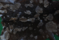 Goat Skin Rug: Tri-Color genuine Goat hide rug