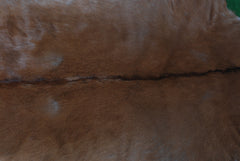 Luxury Brown & White Goat Hide Rug | Premium Hair-On Skin | Handpicked - Handcrafted | Non-Slip Suede Back | Sustainable - Eco-Friendly