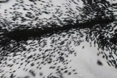 Luxurious Black & White Goat Skin Rug- Home Décor Floor Rug - Celestial Leather Limited