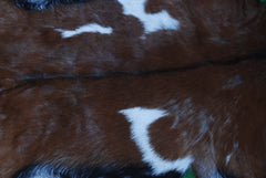 Luxurious Brown & White Goat Hide Rug - Premium Hair-On Skin Rug for Elegant Home Decor