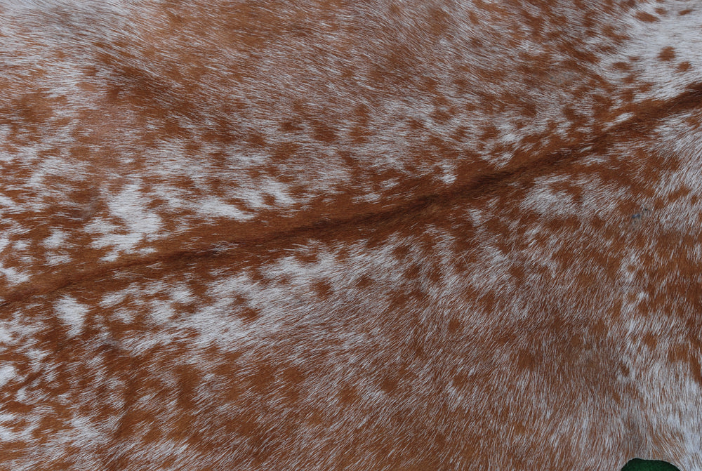 Luxury Brown and White Goat Hide Rug - Handpicked Premium Natural Goat Skin Rug with Unique Patterns and Non-Slip Suede Back - Celestial Leather Limited