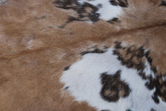 Luxurious Handmade Multicolour Goat Skin Rug - Soft, Kid & Pet-Friendly, Non-Shedding, Sustainable - Eco-Friendly - Unique Art Piece