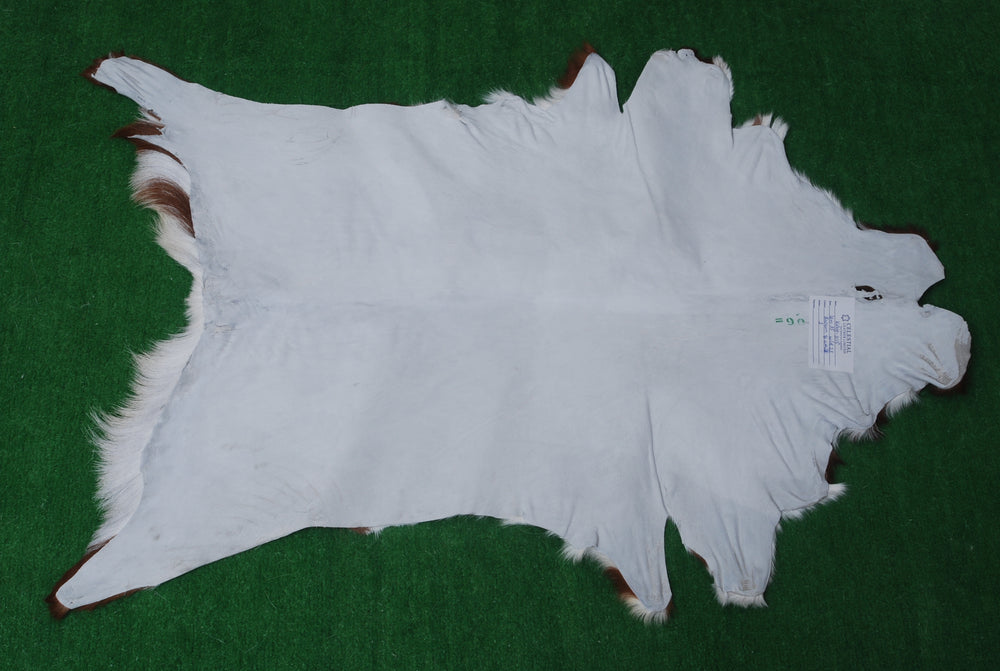 Luxury Brown & White Goat Hide Rug - Premium Hair-on Skin - Eco-Friendly - Hypoallergenic - Handcrafted Elegance for Any Room - Celestial Leather Limited