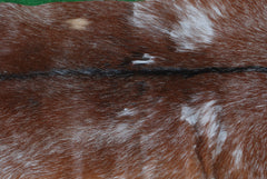 Luxury Brown & White Goat Hide Rug | Handcrafted Premium Goat Skin Rug | Eco-Friendly - Sustainable | Hypoallergenic - Non-Shedding - Celestial Leather Limited