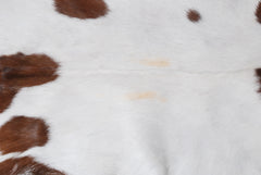 Luxurious Brown & White Goat Skin Rug - Premium Hair On Goatskin