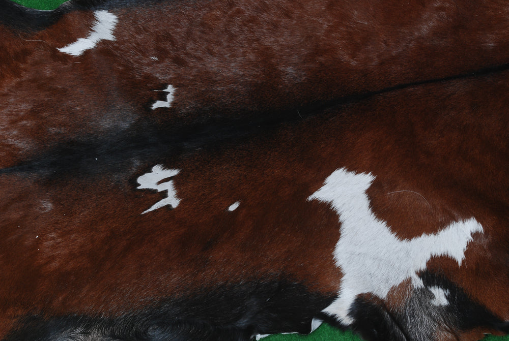 Luxurious Dark Brown Goat Skin Rug - Handmade, Soft, Pet-Friendly & Non-Shedding, Unique Colour Variations, Sustainable - Eco-Friendly - Celestial Leather Limited