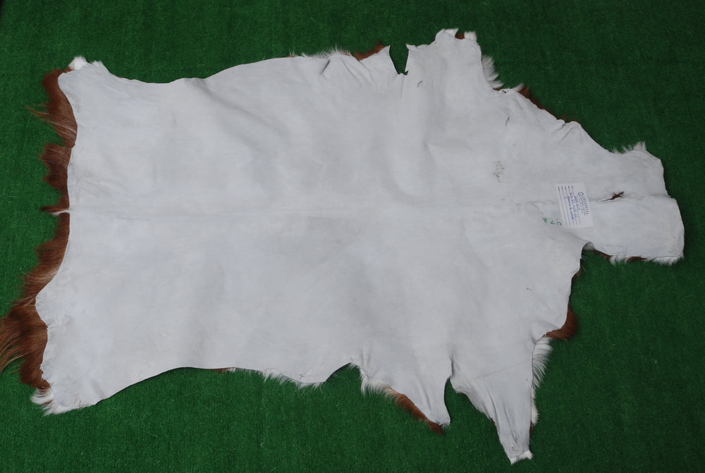 Luxury Brown & White Goat Skin Rug - Handmade Pure Goat Skin Floor Rug with Unique Colour Variations & Hypoallergenic Qualities - Celestial Leather Limited
