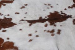 Luxury Brown & White Goat Skin Rug - Handmade Pure Goat Skin Floor Rug with Unique Colour Variations & Hypoallergenic Qualities - Celestial Leather Limited