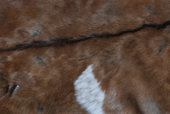 Natural Hair-On Dark Brown Goat Skin Rug - Elegant and Durable for Any Room