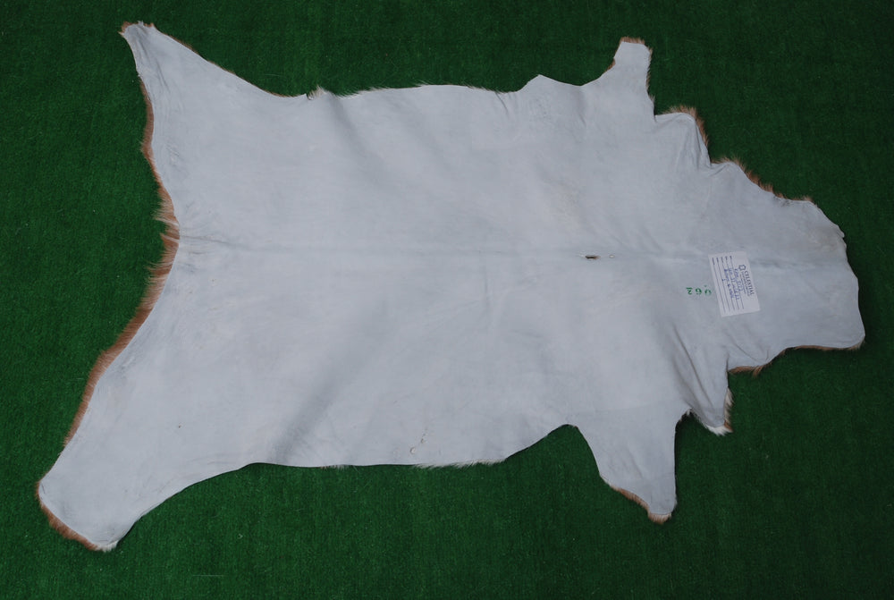 Luxurious Brown and White Goat Hide Rug - Premium Hair-On Natural Goatskin with Unique Patterns and Non-Slip Suede Back - Celestial Leather Limited