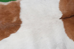 Luxurious Brown & White Goat Skin Rug - Eco-Friendly Handmade Floor Rug with Unique Variations, Soft & Hypoallergenic - Non-Shedding - Durable - Celestial Leather Limited