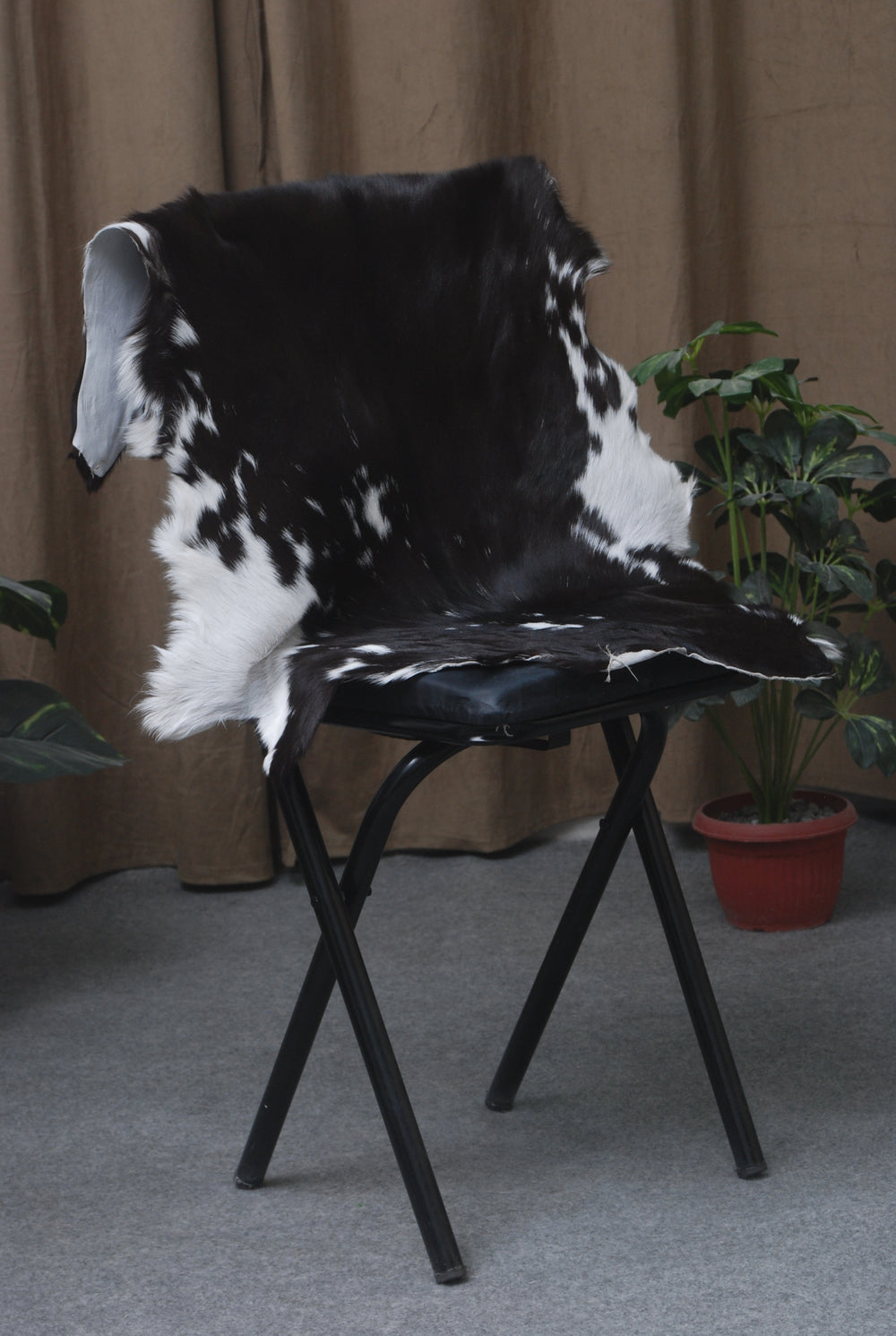 Striped Goat Skin Throw Rug - Genuine Black & White Animal Skin Goathide - Natural - Non-slippery Back - Hypoallergenic - Sustainable - Celestial Leather Limited