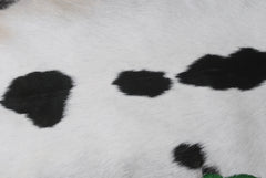 Luxury Black & White Genuine Goat Hide Rug - Premium Hair-On Goat Skin, Hypoallergenic, Non-Shedding, Eco-Friendly Décor for Modern Spaces - Celestial Leather Limited