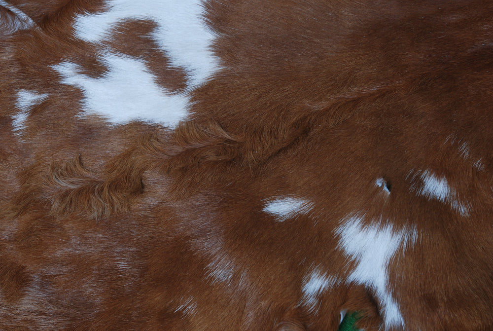 Luxury Brown & White Goat Skin Rug with Unique Patterns - Eco-Friendly - Hypoallergenic for Living Room or Bedroom Décor - Celestial Leather Limited