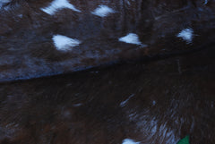 Rustic Dark Brown Goat Hide Rug - Genuine Leather for Timeless Home Styling