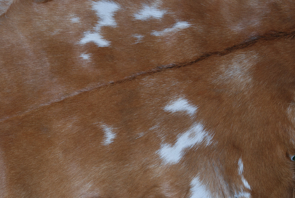 Luxurious Brown and Black Genuine Goat Hide Rug - Premium Hair-On Goat Skin Rug - Celestial Leather Limited