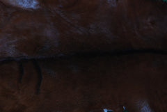 Luxurious Brown & White Goat Skin Rug - Soft, Durable, and Eco-Friendly - Handmade Pure Goat Skin Floor Rug - Non-Slip Suede Back