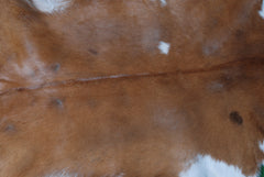 Natural Dark Brown Goat Hide Rug - Perfect for Modern and Rustic Spaces )