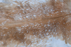 Natural Brown and White Goat Hide Rug - Luxurious Accent for Modern Homes