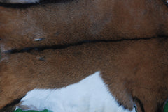 Premium Dark Brown Goat Skin Rug - Durable and Stylish Accent for Any Room