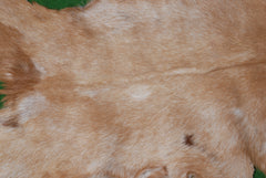 Elegant Brown and White Goat Hide Rug - Perfect Accent for Living Room or Bedroom