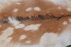 Brown and White Handmade Goat Skin Rug – Classic Elegance for Your Home