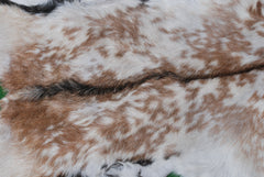 Premium Brown and White Goat Skin Rug - Genuine Hair-On Leather for Rustic Décor