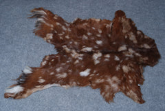 Premium Dark Brown Goat Skin Rug - Durable and Stylish Accent for Any Room