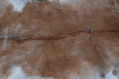 Luxurious Brown and White Goat Hide Rug - Premium Hair-On Goat Skin Rug, Sustainable Eco-Friendly Decor for Any Room